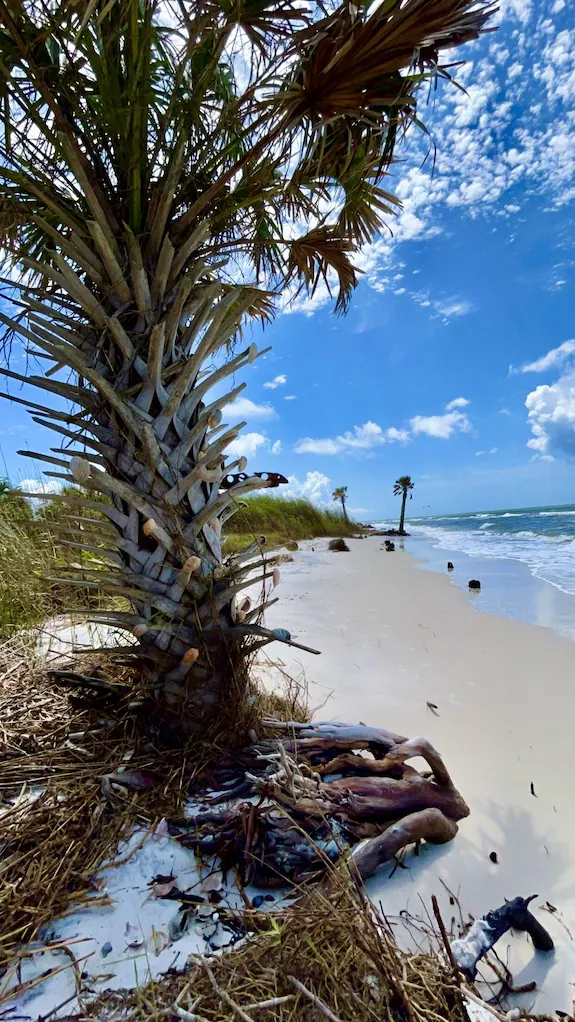 There’s Always Time for the Sea